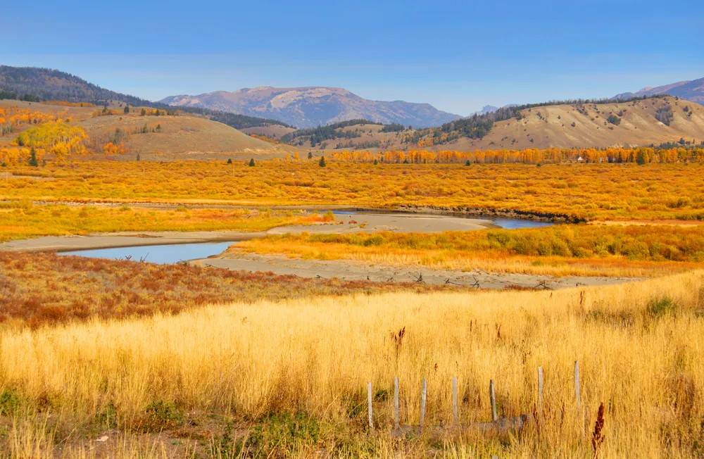 Yellowstone road in autumn with fall colors and mountain scenery
